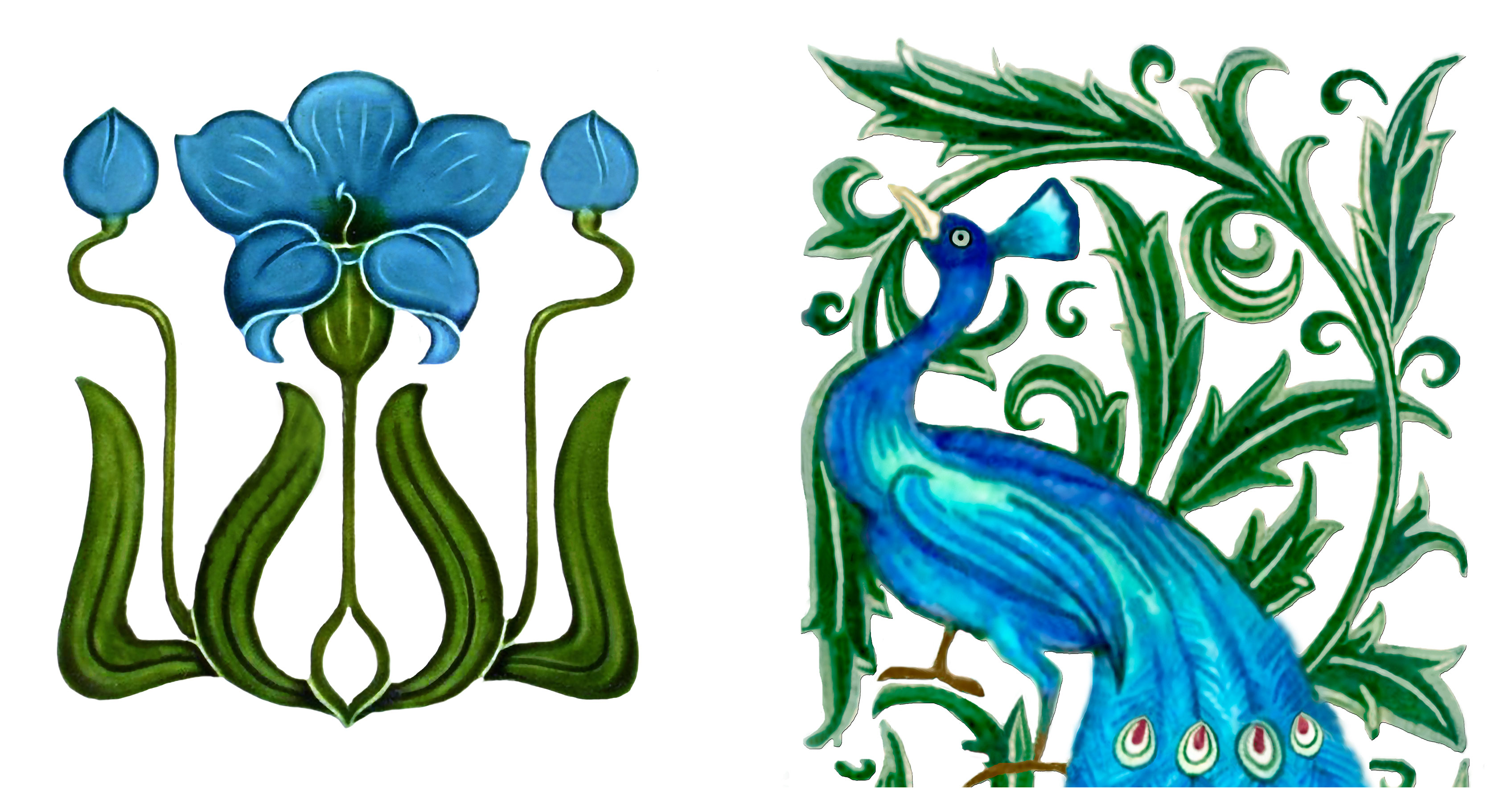 Turquoise Peacock sample set