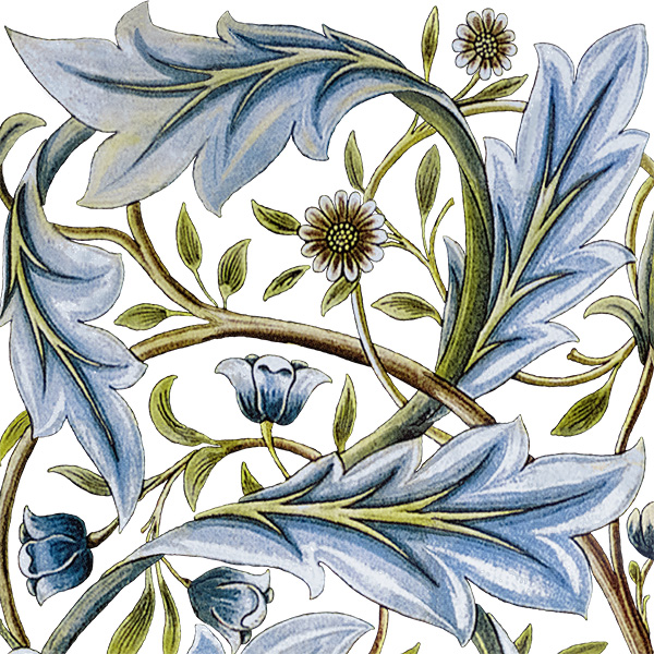 William Morris Membland white background