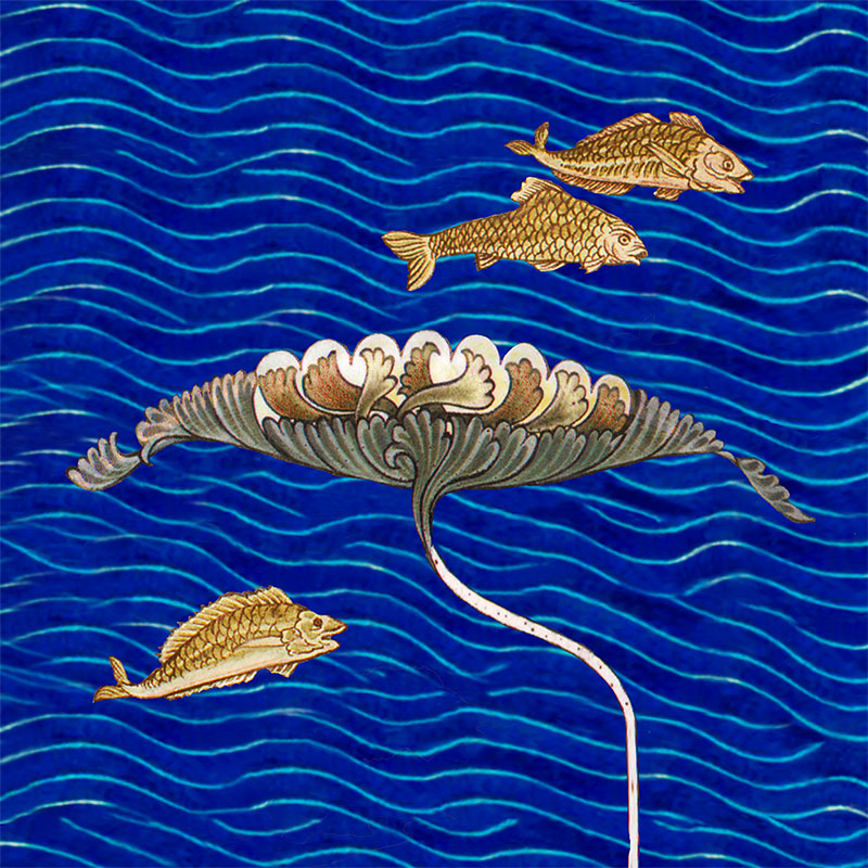 Goldfish and water lily, for De Morgan fireplace tile, with water