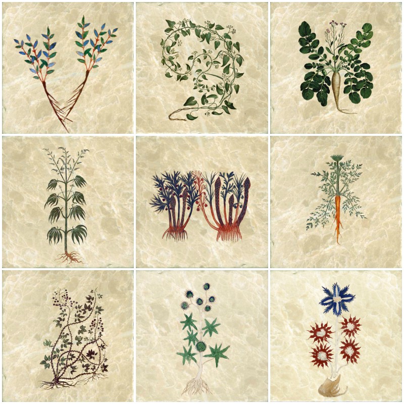 Medieval Herbals