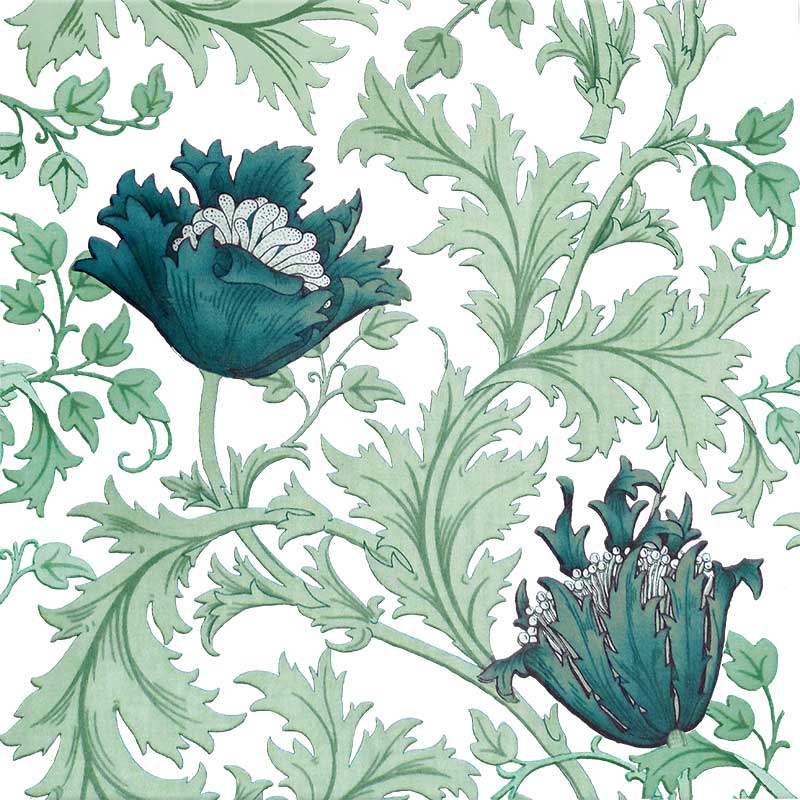 Poppy Anemone Border Tile, teal on white